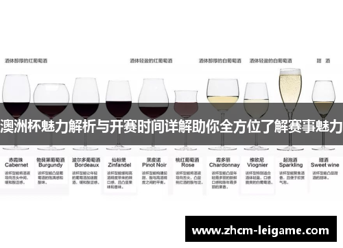 澳洲杯魅力解析与开赛时间详解助你全方位了解赛事魅力