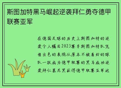 斯图加特黑马崛起逆袭拜仁勇夺德甲联赛亚军 斯图加特黑马崛起逆袭拜仁勇夺德甲联赛亚军